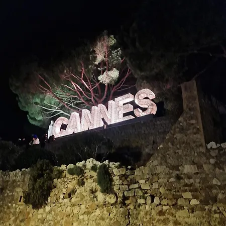 - Centre- Film Festival