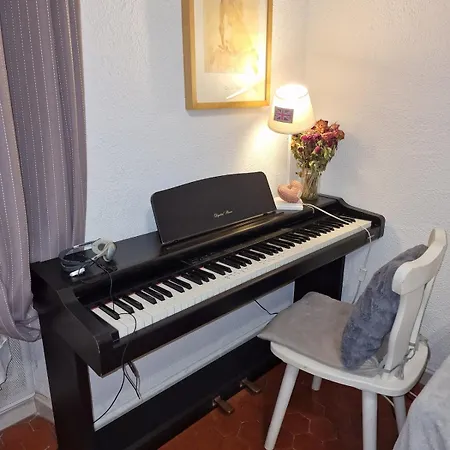 Apartment - Centre- Film Festival Cannes